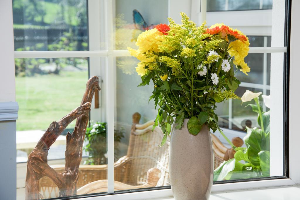The Rose Garden Bed & Breakfast And Cafe Кенмеър Екстериор снимка