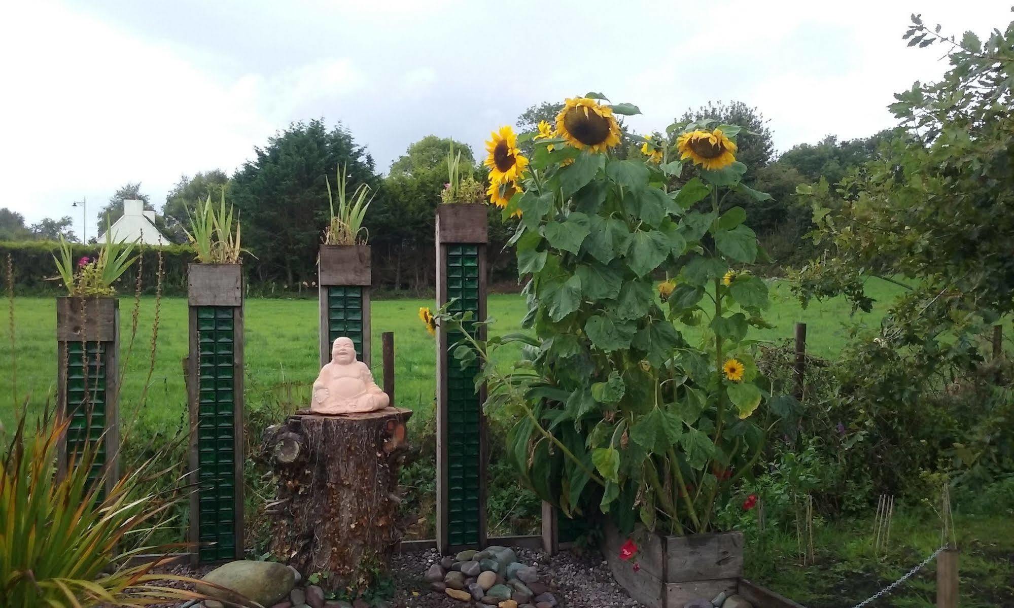 The Rose Garden Bed & Breakfast And Cafe Кенмеър Екстериор снимка