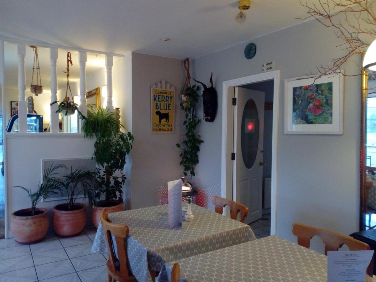 The Rose Garden Bed & Breakfast And Cafe Кенмеър Екстериор снимка